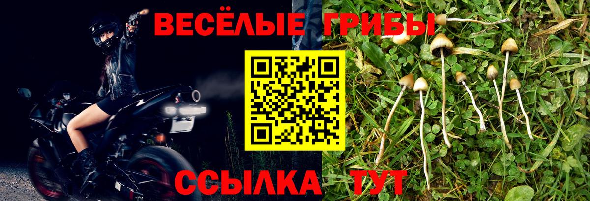 Псилоцибиновые грибы MAGIC MUSHROOMS Шадринск