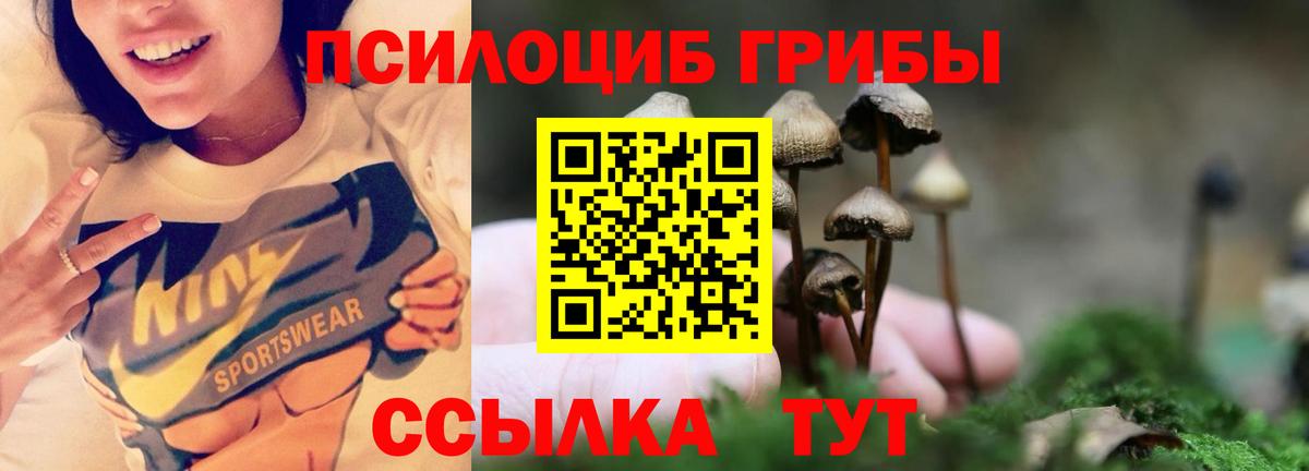 Шадринск  Псилоцибиновые грибы Cubensis  Псилоцибиновые грибы Psilocybine cubensis  Вход с VPN 